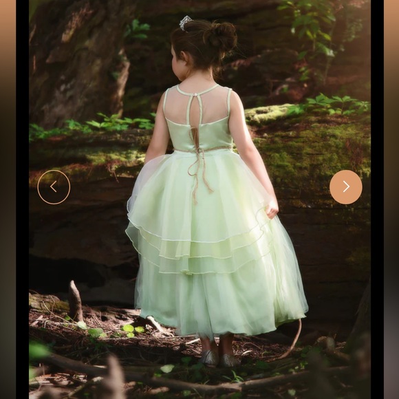 Trish Scully 🐸 👑 Disney Princess Tiana/Princess and the Frog Magical Gown EUC - Picture 4 of 12